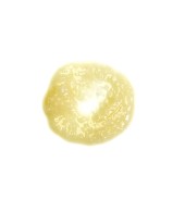 Pasta concentrada maça verde (37435)