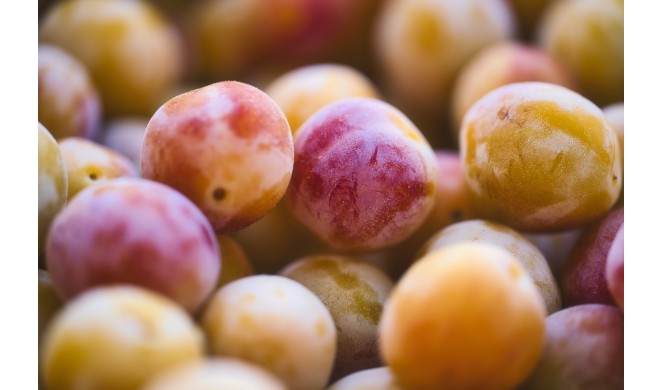 Purés e Coulis de Fruta