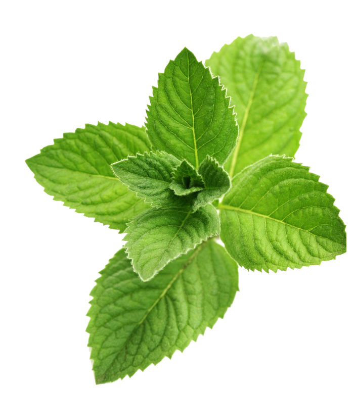 Sorvete hortela