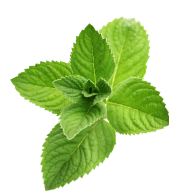 Sorvete hortela