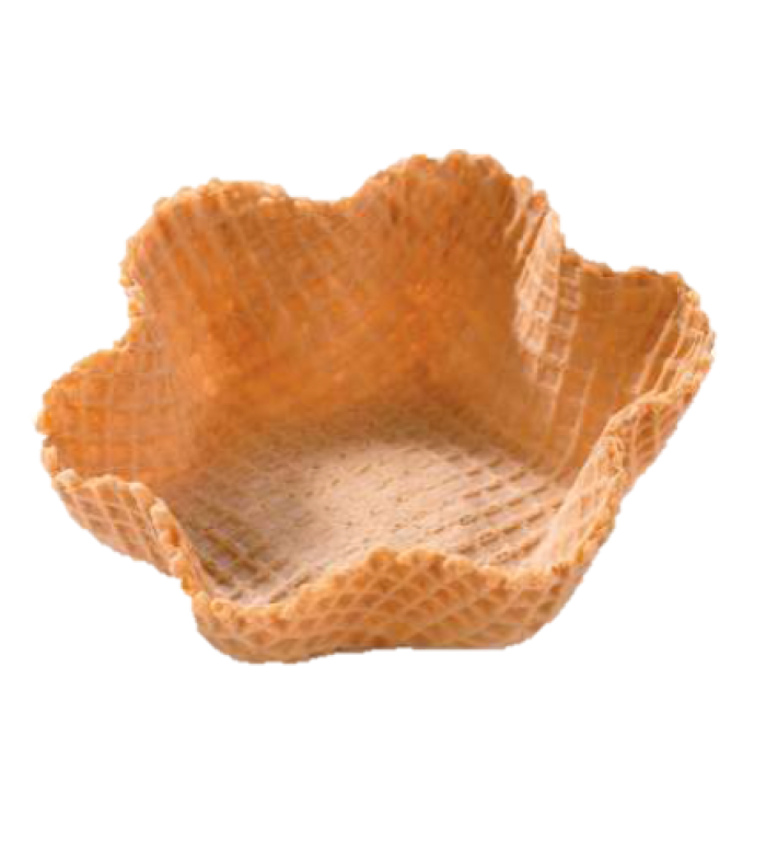 TULIPAS 10.5CM
